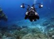 Underwater Photography