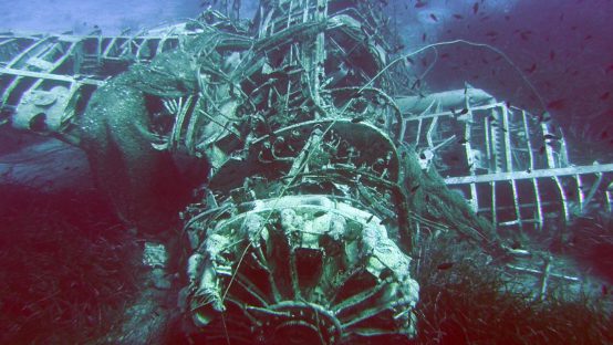 arodo diving spot 05