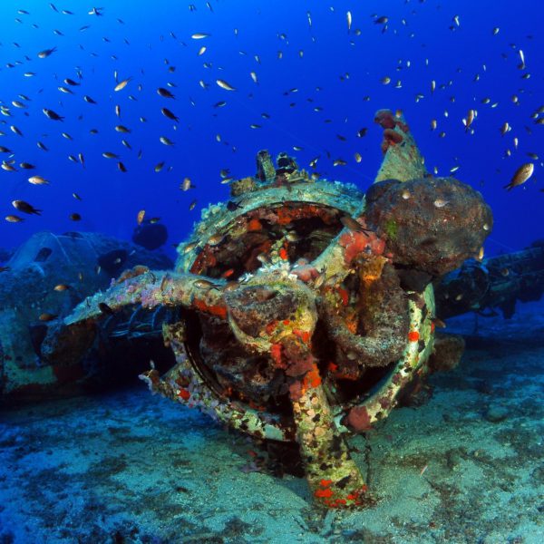 beaufighter diving spot 03