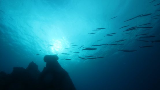 black rock diving spot 02