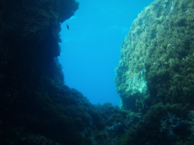 black rock diving spot 03