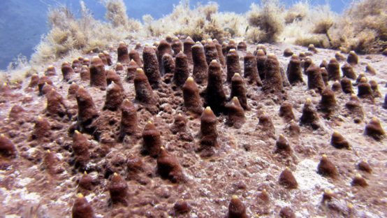 black rock diving spot 05