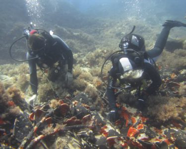 calypso diving spot 01