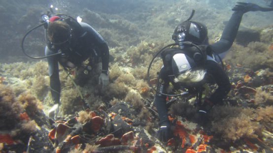 calypso diving spot 01