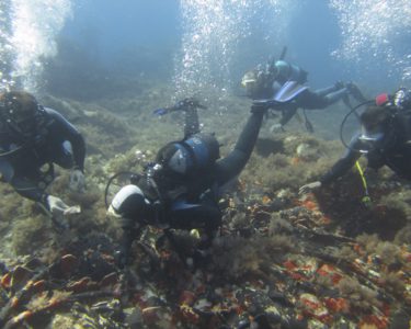 calypso diving spot 02