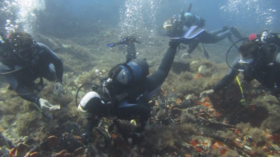 calypso diving spot 02