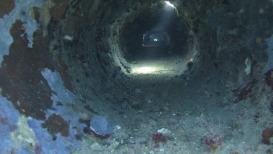 calypso diving spot 03