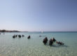 discover scuba diving