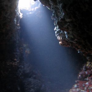 graviera diving spot 09