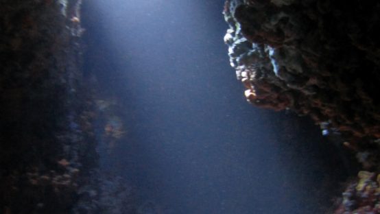 graviera diving spot 09