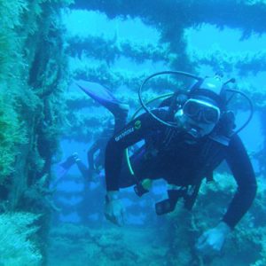 naxos diving bluefin 020