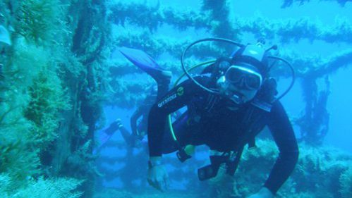 naxos diving bluefin 020