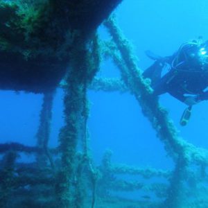 naxos diving bluefin 050