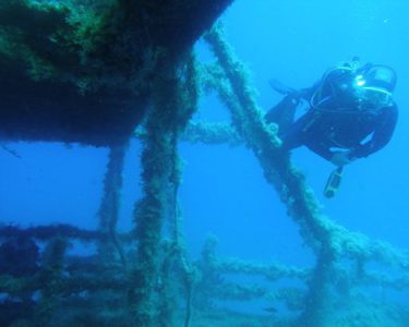 naxos diving bluefin 050