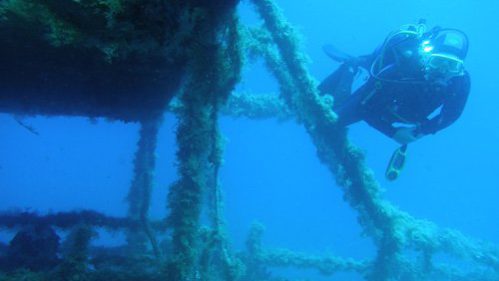 naxos diving bluefin 050