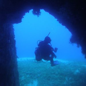 naxos diving bluefin 070