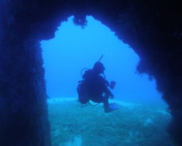 naxos diving bluefin 070