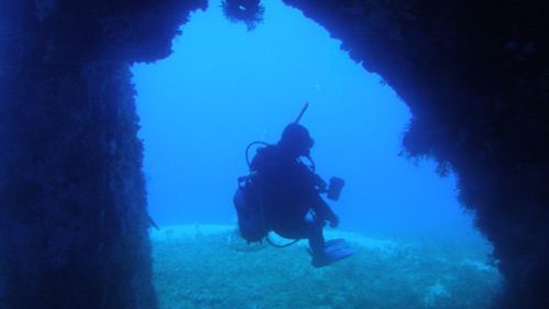 naxos diving bluefin 070