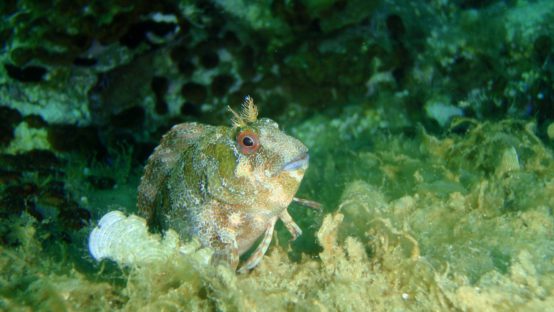 noname diving spot 01