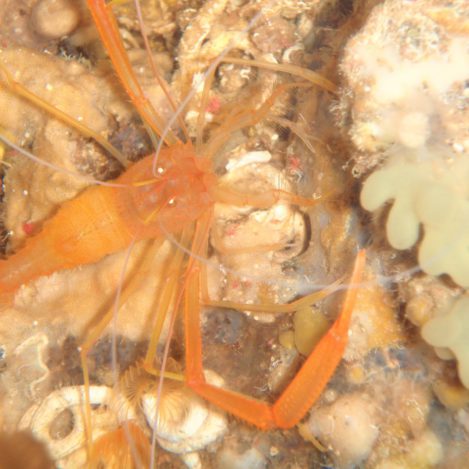 noname diving spot 03