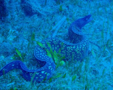 noname diving spot 04