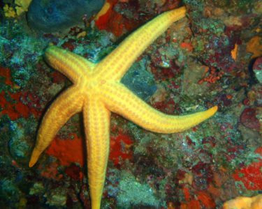 noname diving spot 05