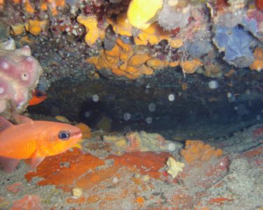 st. nikolas diving spot 02