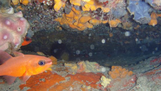 st. nikolas diving spot 02