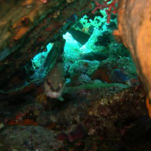 st. nikolas diving spot 03