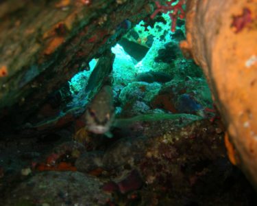 st. nikolas diving spot 03