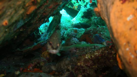 st. nikolas diving spot 03