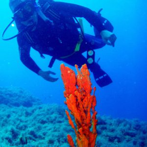 virgin diving spot 04