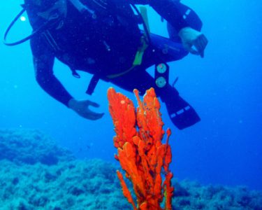 virgin diving spot 04