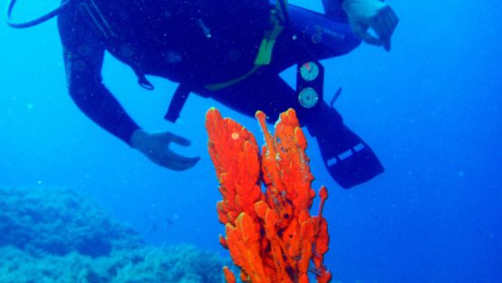 virgin diving spot 04