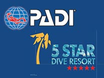 padi 5 star